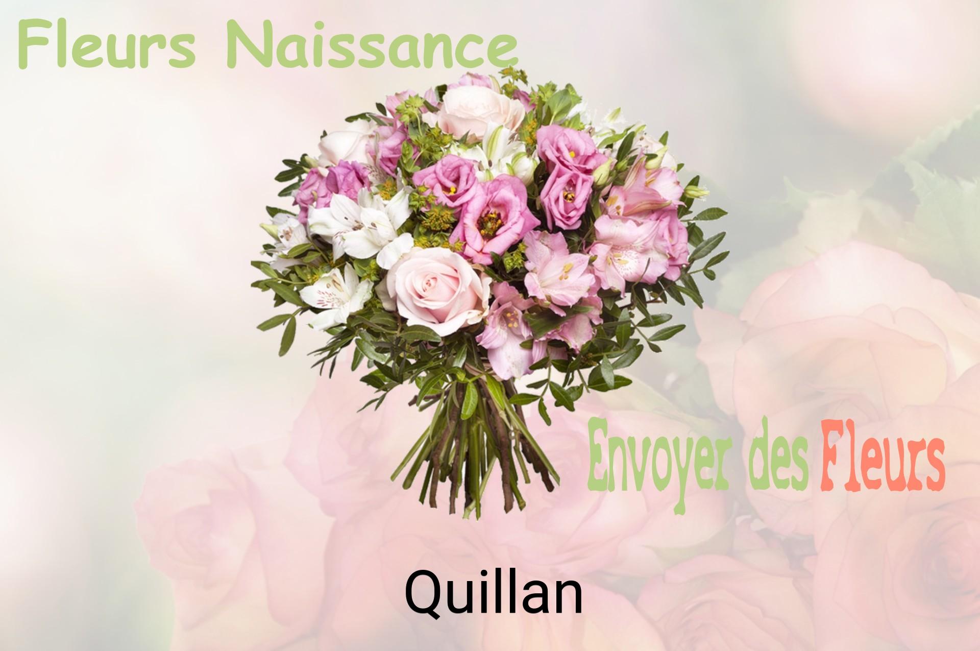 Bouquet de fleurs de naissance livré à Quillan